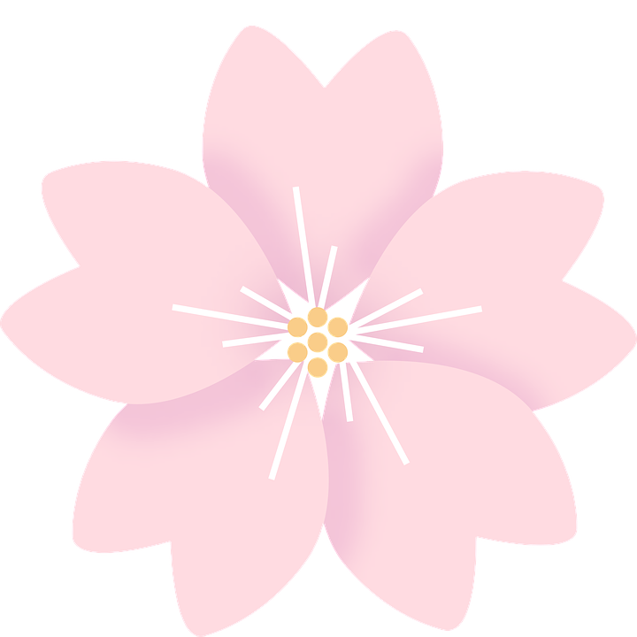 Detail Flor Sakura Nomer 14