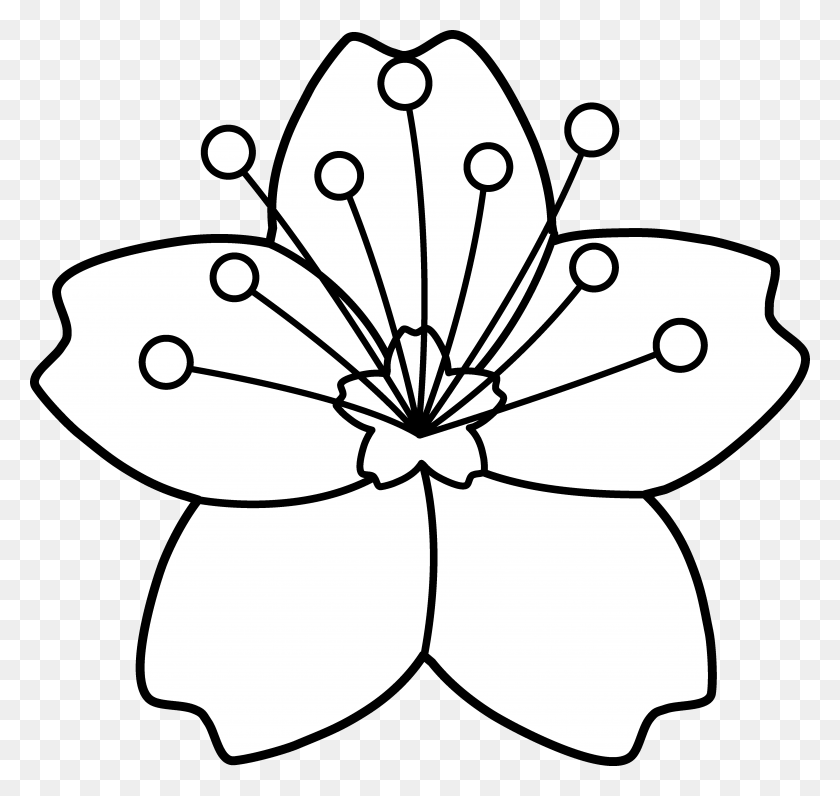 Detail Flor Sakura Nomer 16