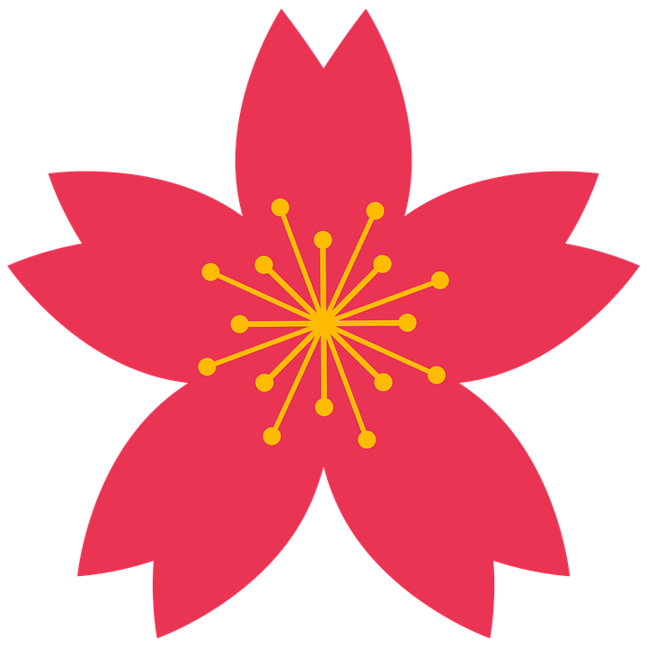Detail Flor Sakura Nomer 25