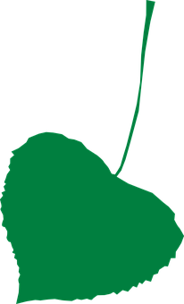 Detail Frucht Der Linde Nomer 14