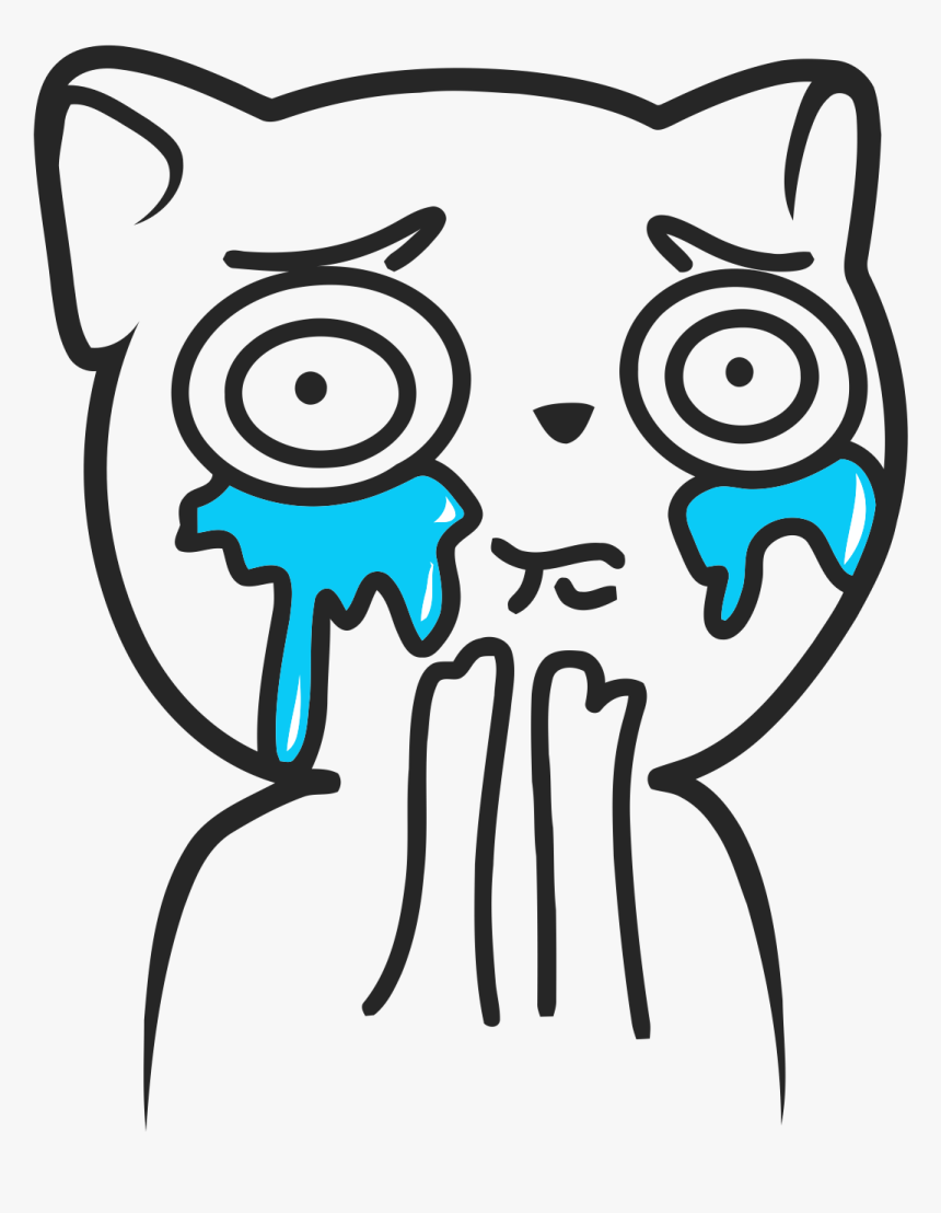 Detail Katzen Meme Face Nomer 2