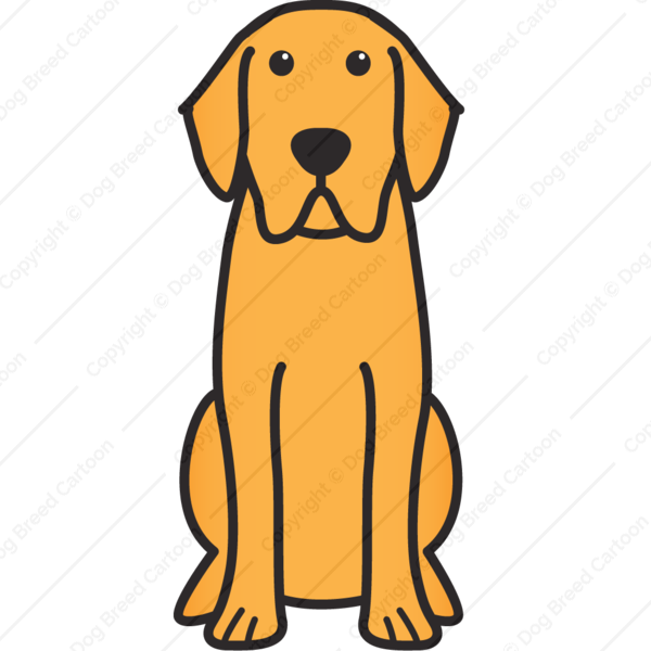 Detail Labrador Comic Nomer 12
