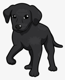 Detail Labrador Comic Nomer 20