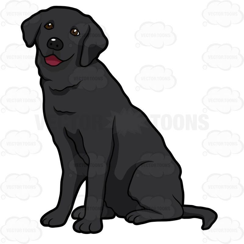 Detail Labrador Comic Nomer 21