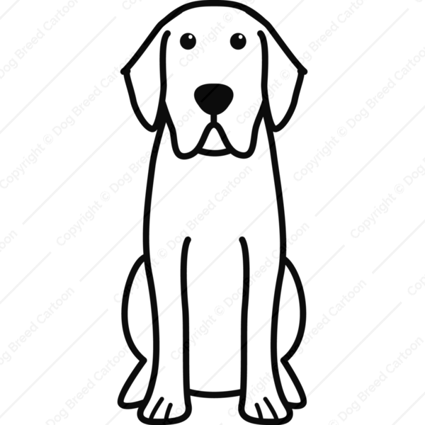 Detail Labrador Comic Nomer 23