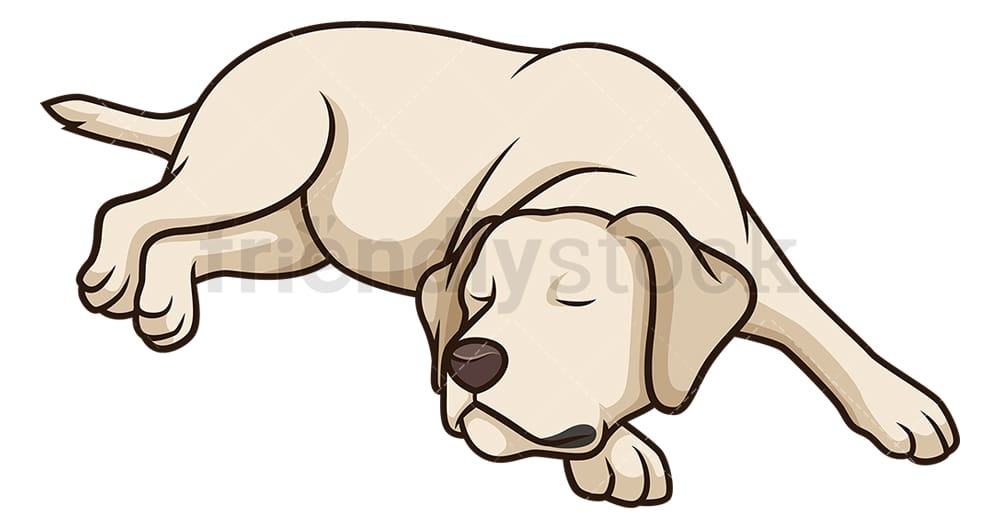 Detail Labrador Comic Nomer 7