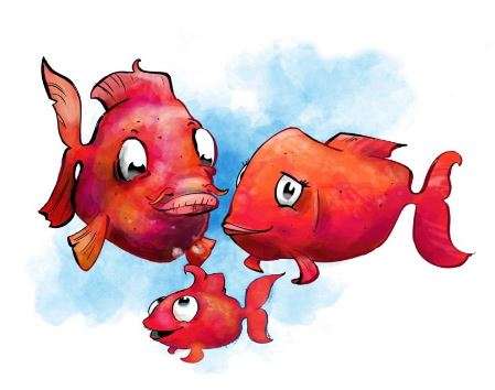 Detail Rotes Meer Fische Nomer 15