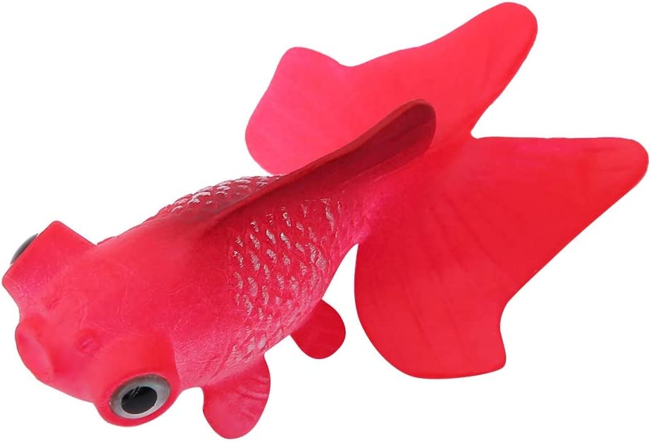 Detail Rotes Meer Fische Nomer 23