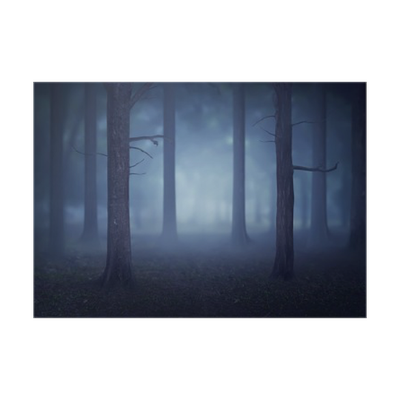 Detail Wald Im Nebel Nomer 11