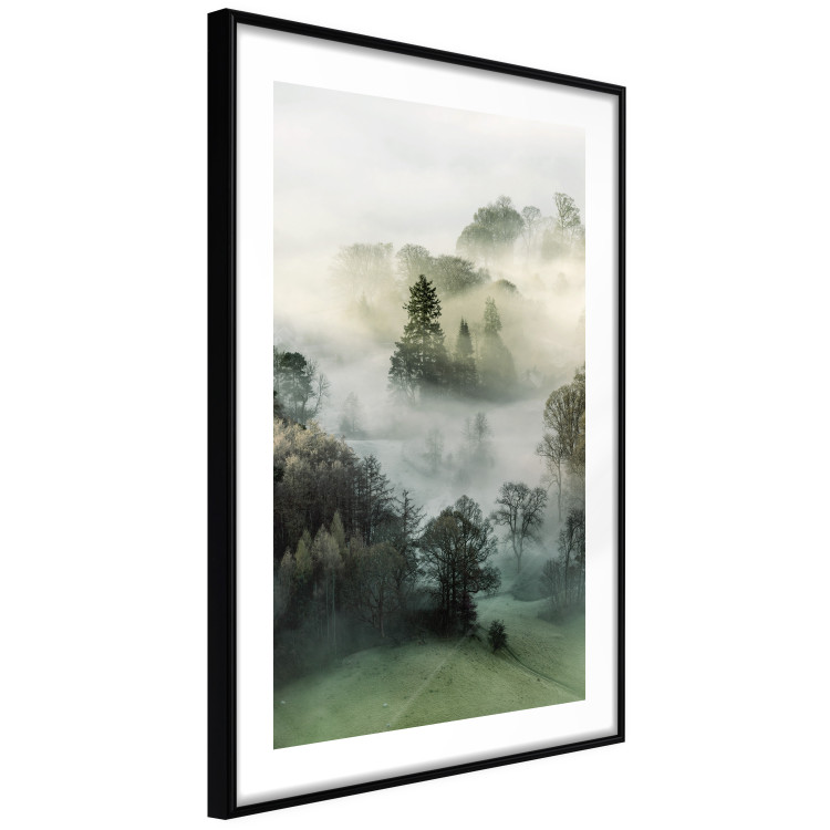 Detail Wald Im Nebel Nomer 16