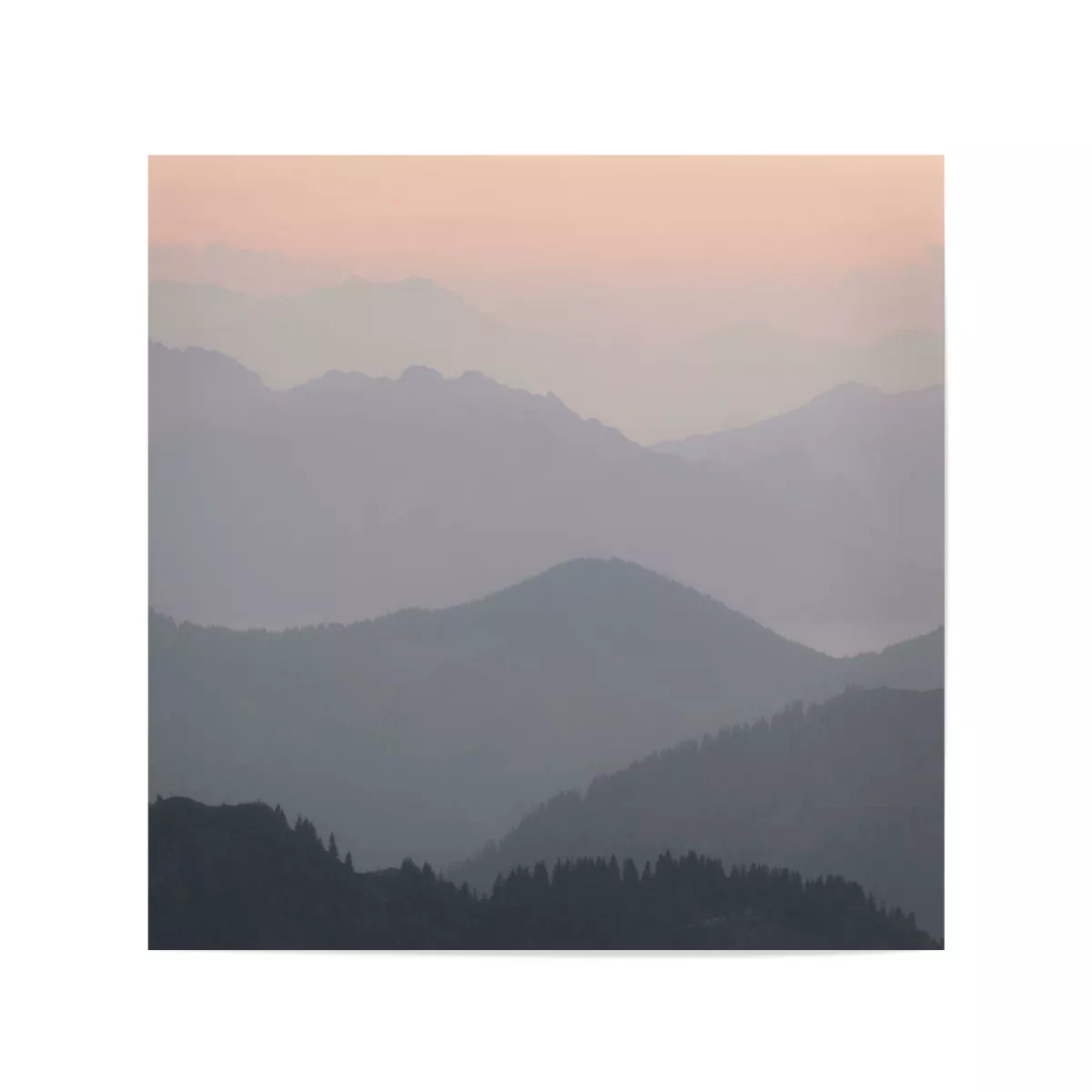 Detail Wald Im Nebel Nomer 17