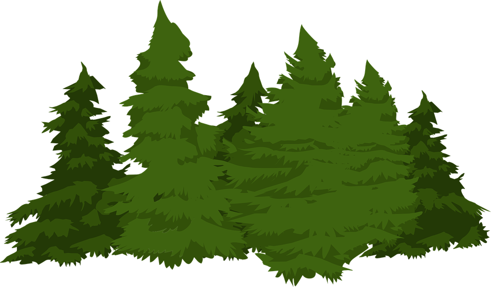 Detail Wald Im Nebel Nomer 18