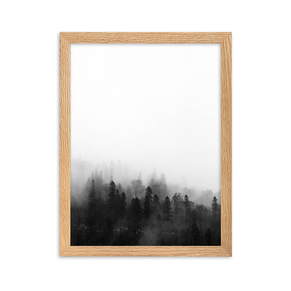 Detail Wald Im Nebel Nomer 2
