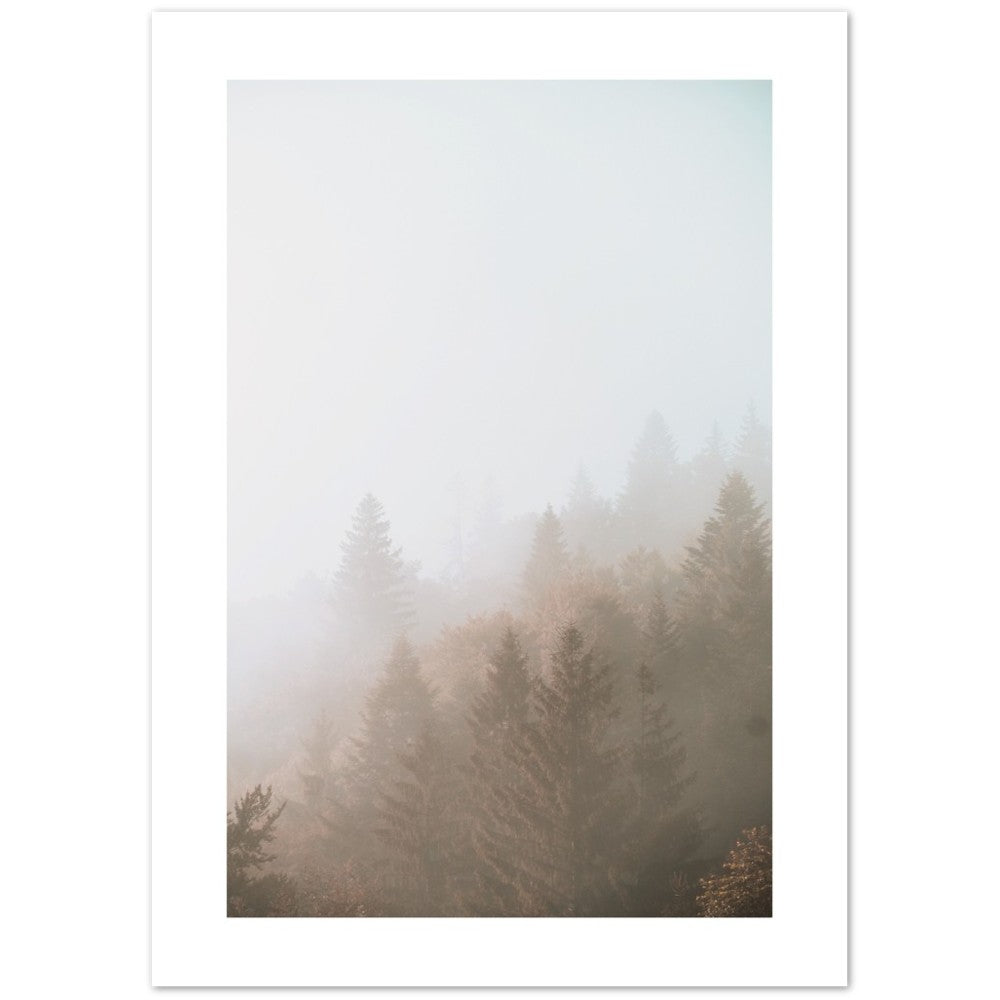 Detail Wald Im Nebel Nomer 19