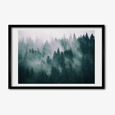 Detail Wald Im Nebel Nomer 20