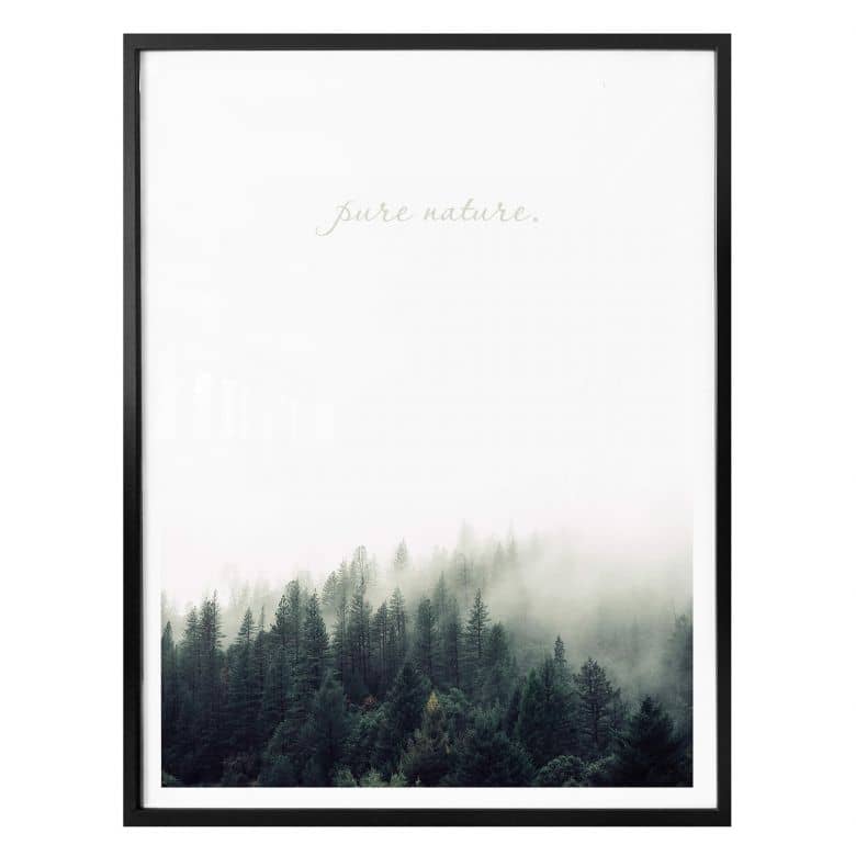 Detail Wald Im Nebel Nomer 22