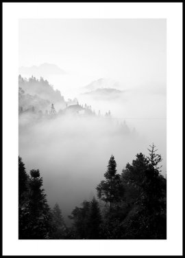 Detail Wald Im Nebel Nomer 26