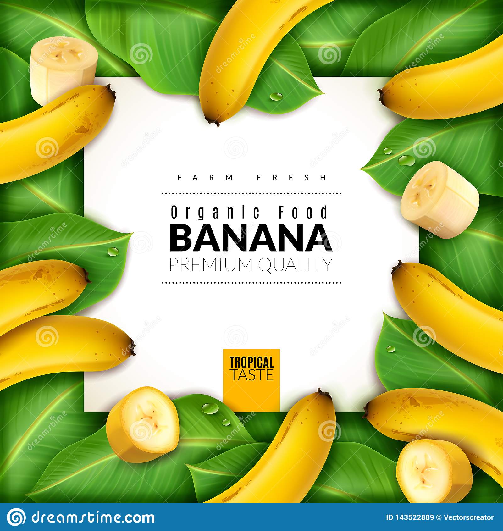 Detail Gambar Spanduk Banana Nomer 4