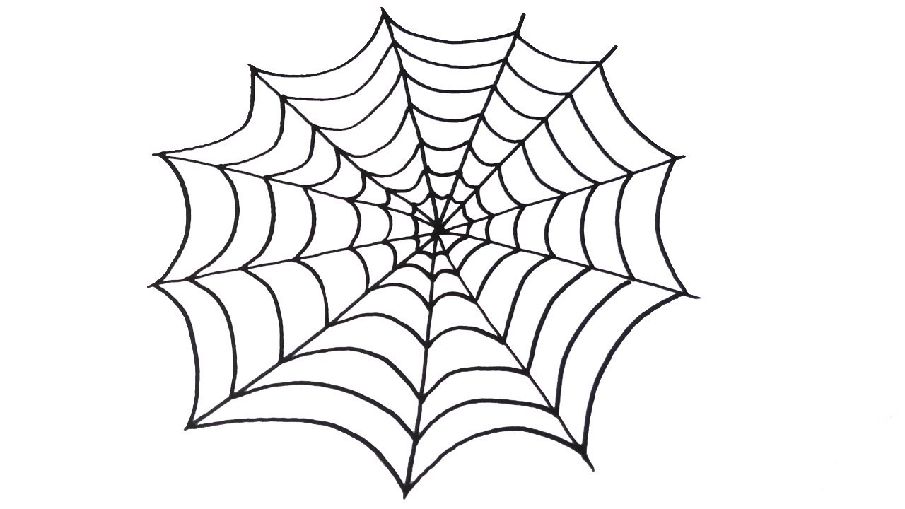 Detail Gambar Spider Web Nomer 15