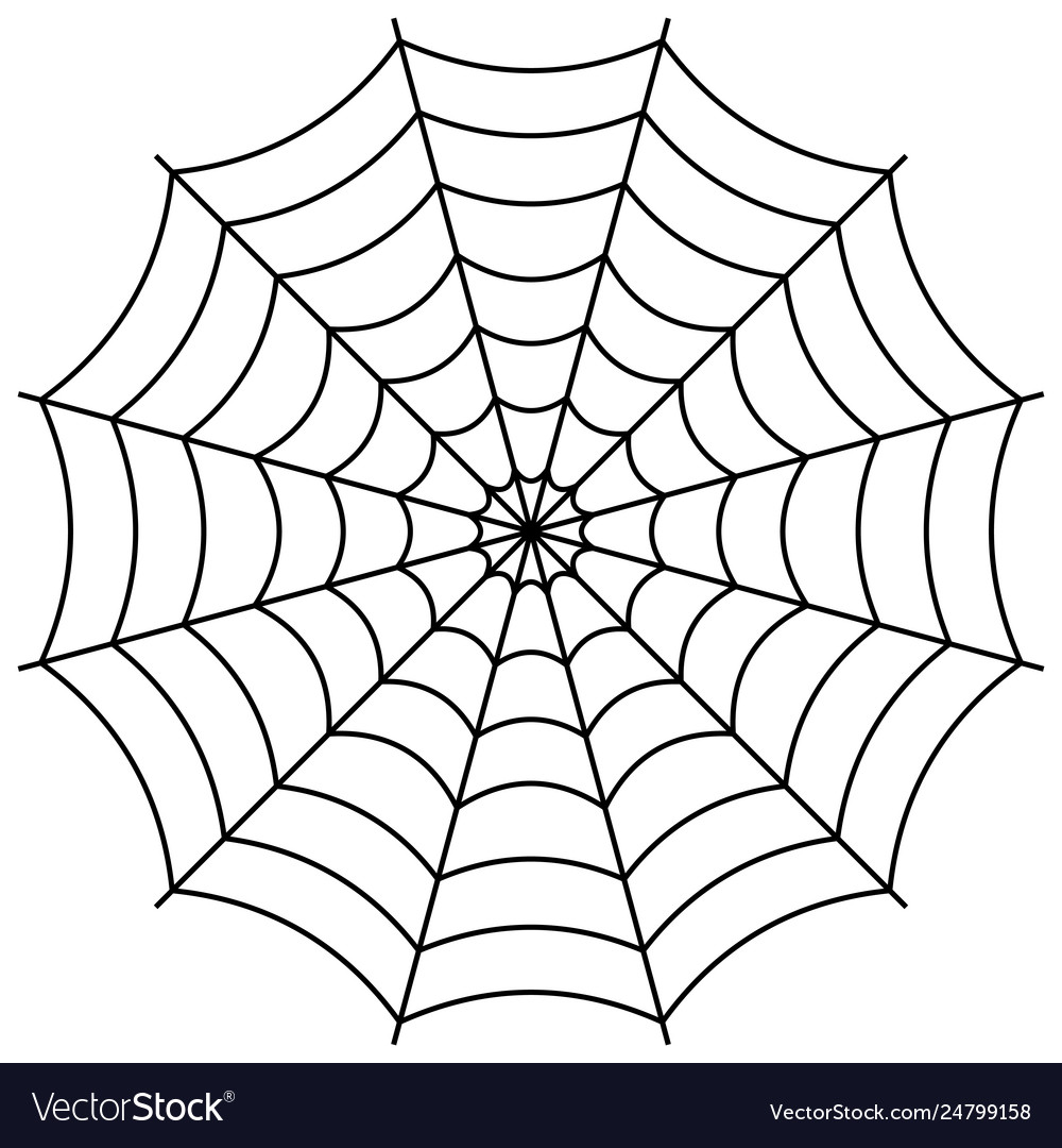 Detail Gambar Spider Web Nomer 23