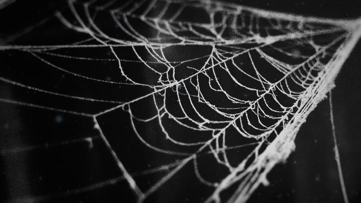 Detail Gambar Spider Web Nomer 51