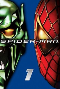 Detail Gambar Spiderman 1 Nomer 19