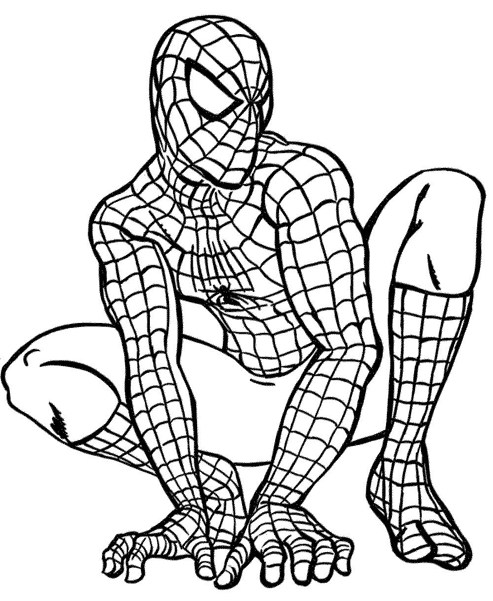 Detail Gambar Spiderman Untuk Mewarnai Nomer 12