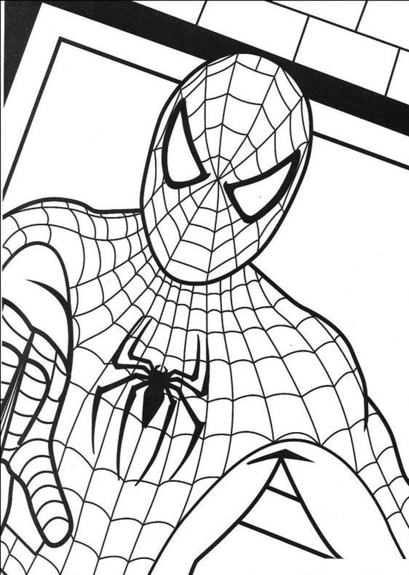 Detail Gambar Spiderman Untuk Mewarnai Nomer 23