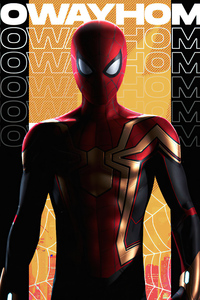 Detail Gambar Spiderman Wallpaper Nomer 36
