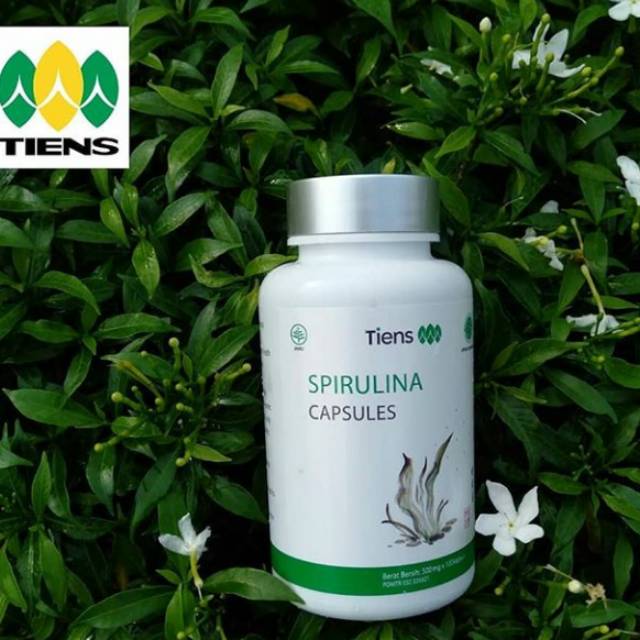 Detail Gambar Spirulina Asli Nomer 33