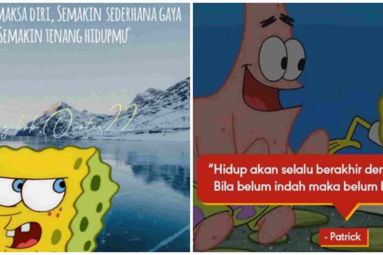 Detail Gambar Spongebob Dengan Kata Kata Lucu Nomer 42