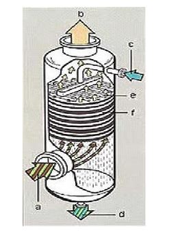 Detail Gambar Sprayer Dan Bagian Bagiannya Nomer 37