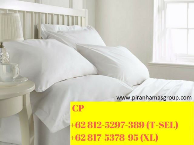 Detail Gambar Sprei Polos Putih Sprei Polos Putih Hotel Piranhamas Nomer 45