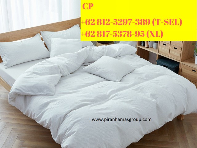 Detail Gambar Sprei Polos Putih Sprei Polos Putih Hotel Piranhamas Nomer 55