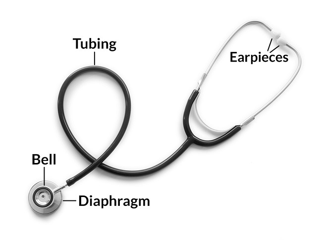Detail Gambar Stetoskop Dokter Nomer 2