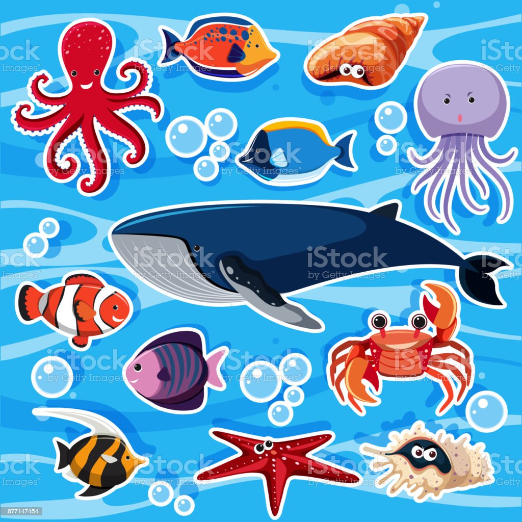 Detail Gambar Stiker Animasi Binatang Laut Nomer 31