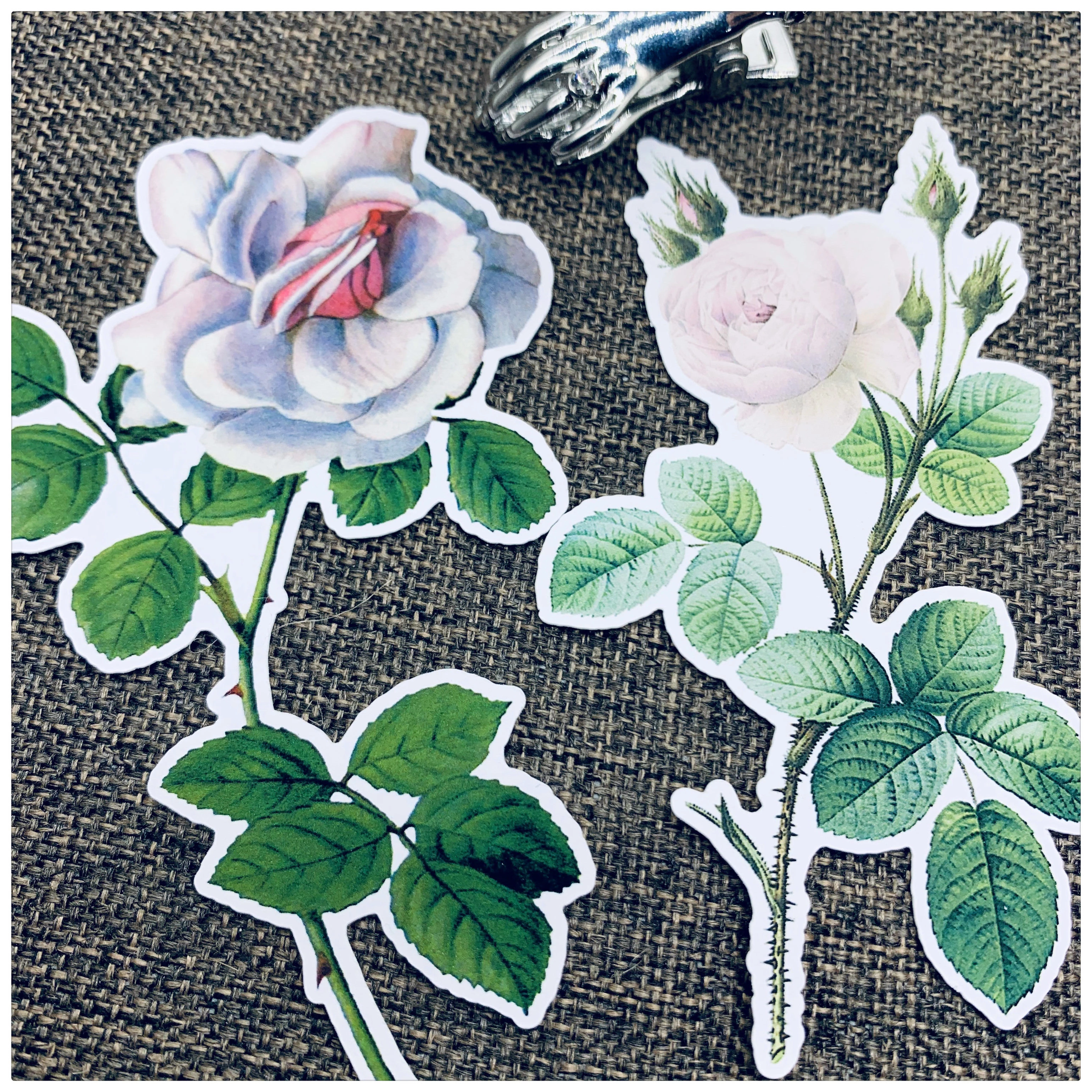Detail Gambar Stiker Bunga Nomer 44
