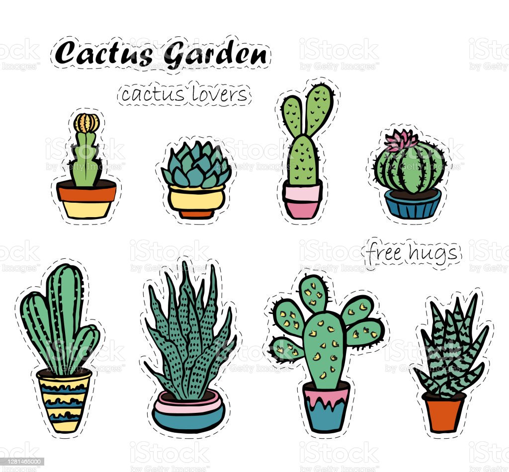 Detail Gambar Stiker Kaktus Nomer 21