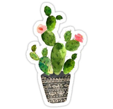 Detail Gambar Stiker Kaktus Nomer 28