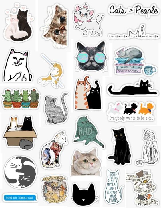 Detail Gambar Stiker Kucing Nomer 24