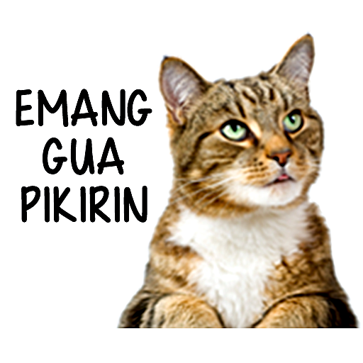 Detail Gambar Stiker Kucing Nomer 38