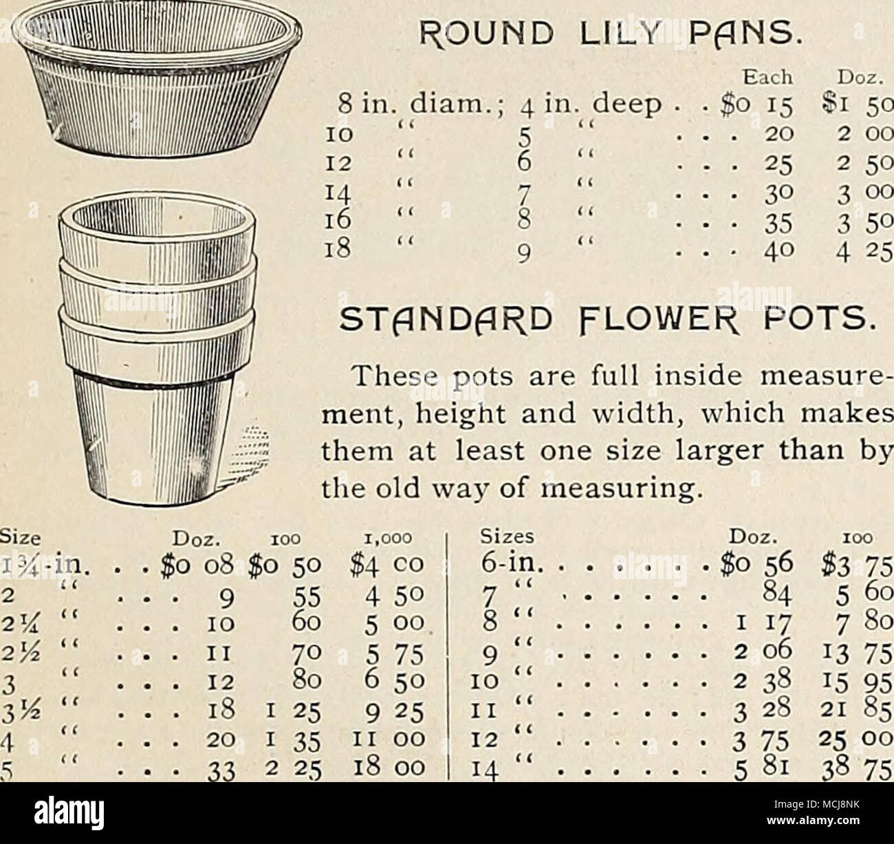 Detail Gambar Stokpot Orchid 40 Nomer 16