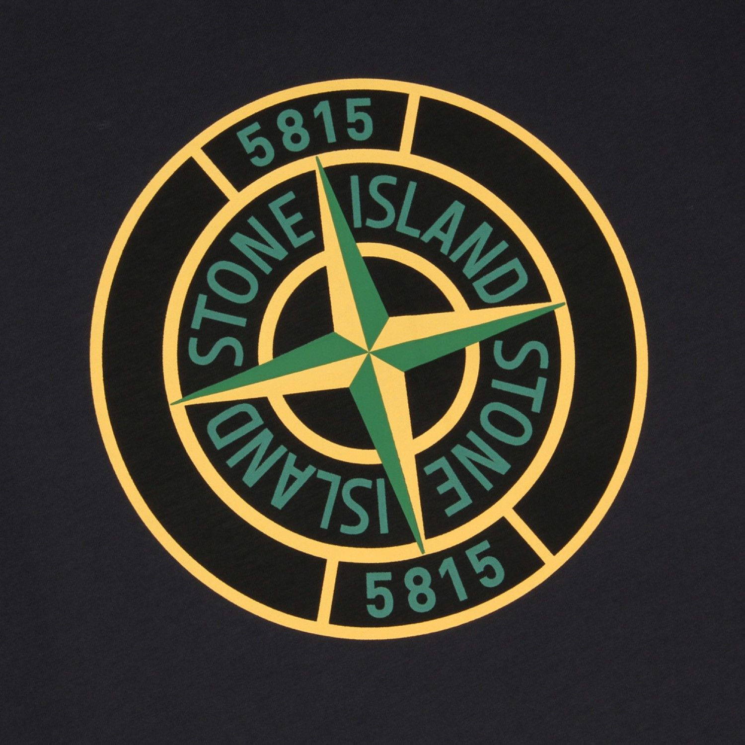 Detail Gambar Stone Island Nomer 4