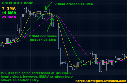 Detail Gambar Strategi Trading Forex Nomer 36