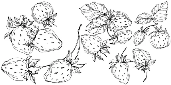 Detail Gambar Strawberry Hitam Putih Nomer 46
