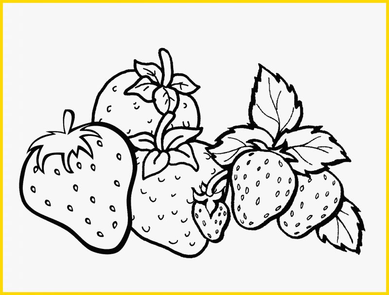 Detail Gambar Strawberry Hitam Putih Nomer 47