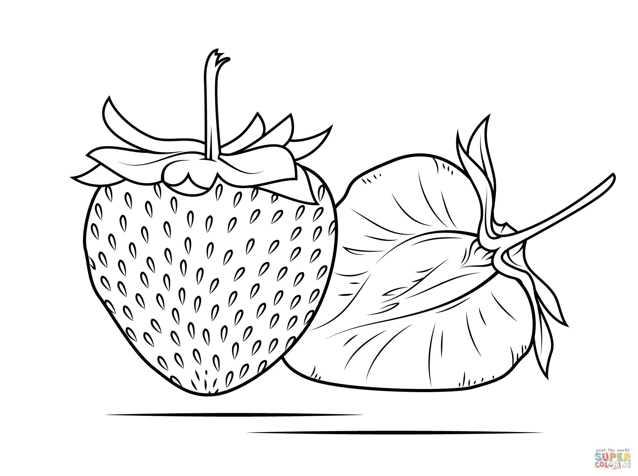 Detail Gambar Strawberry Untuk Mewarnai Nomer 2