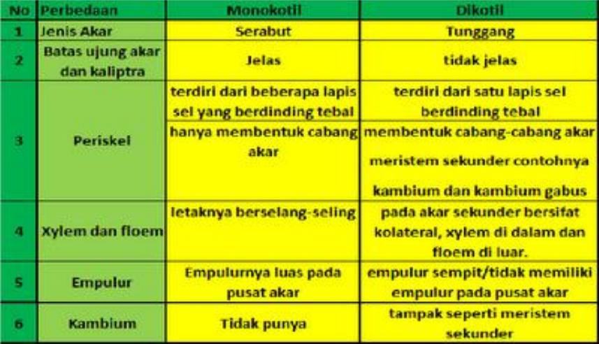 Detail Gambar Struktur Akar Monokotil Dan Dikotil Nomer 29