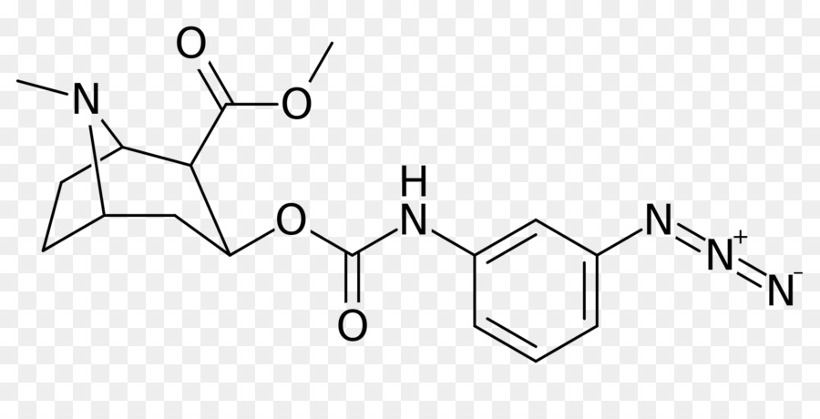 Detail Gambar Struktur Alkaloid Nomer 28