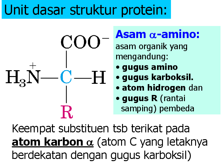 Detail Gambar Struktur Asam Amino Nomer 11